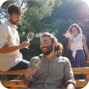 Potolo Collective SM